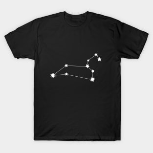 Leo Star Sign T-Shirt